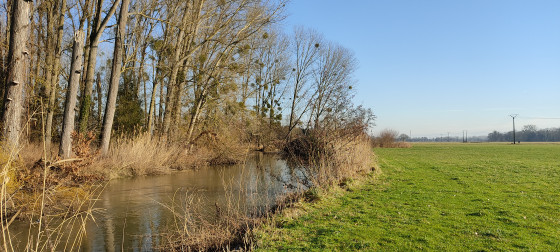 La Zorn entre Brumath et Geudertheim.