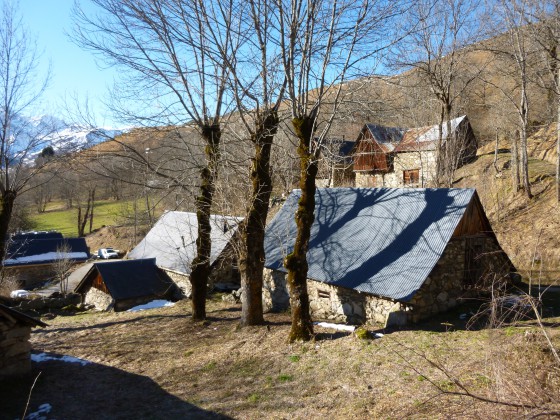 Labach
