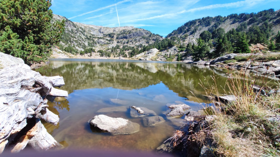 Lac Achard été 2022