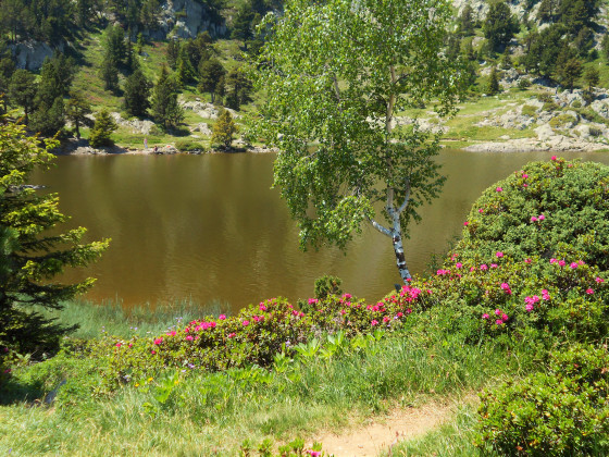 Lac Achard