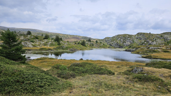 Lac Canard