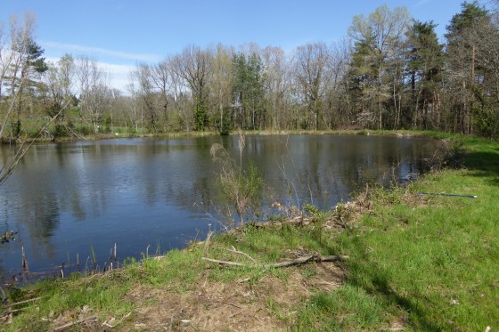 Lac collinaire