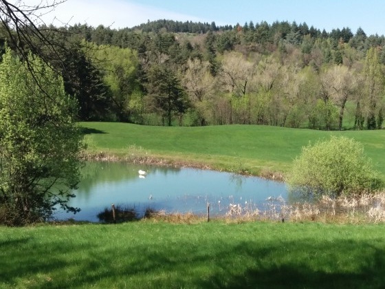 Lac collinaire