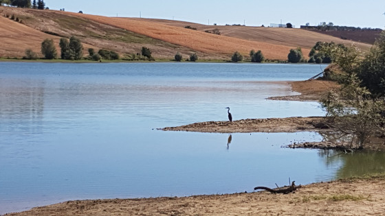 Lac coté sud, entre repère 7 et 8