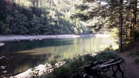 Lac d'Alfeld
