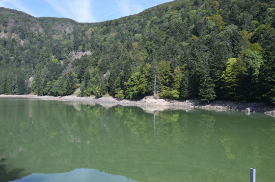 Lac d\'Altenweiher
