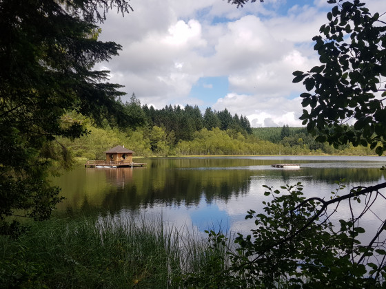 Lac d'Arfeuil