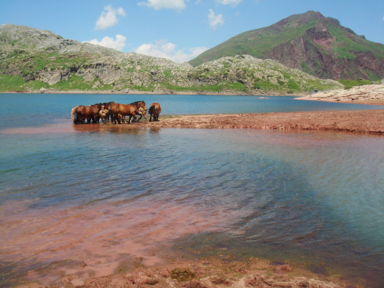 Lac d'Estaens
