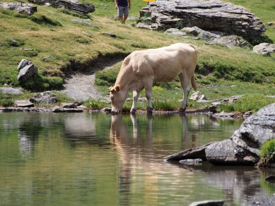 Lac de Badet