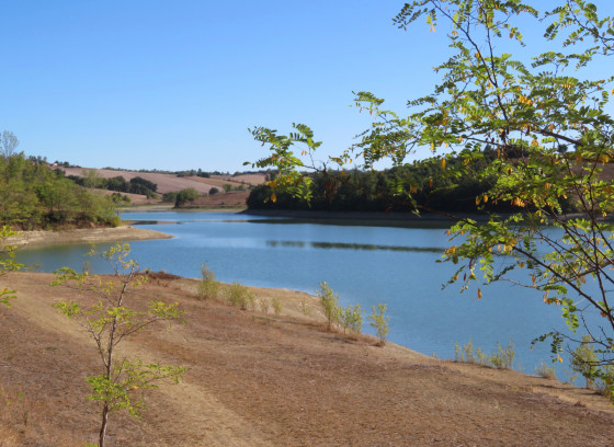 Lac de Balerme