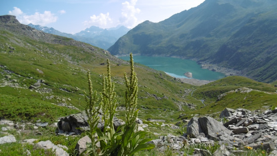 Lac de Bissorte