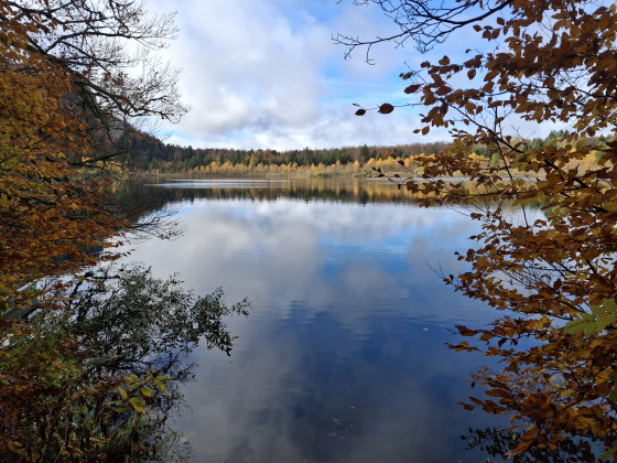 lac de Bonlieu