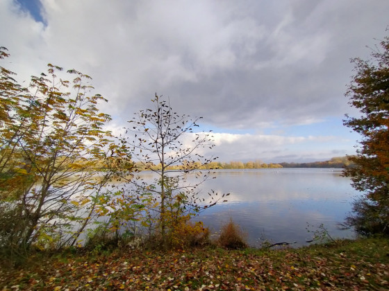 Lac de Canteleu
