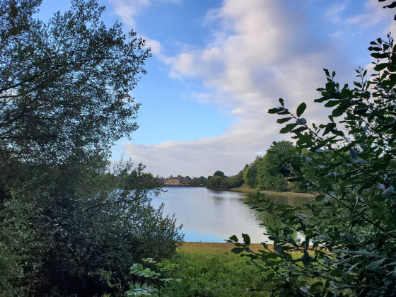 Lac de Châtillon-en-Vendelais