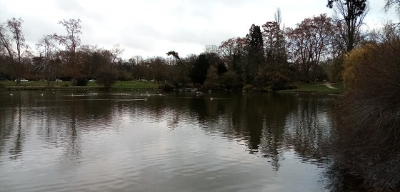Lac de Daumesnil