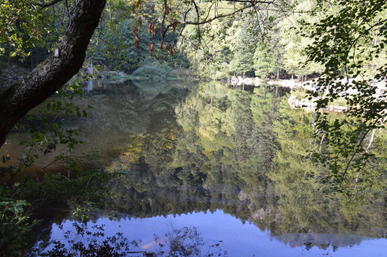 Lac de Fischboedle