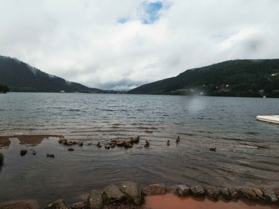 Lac de Gérardmer