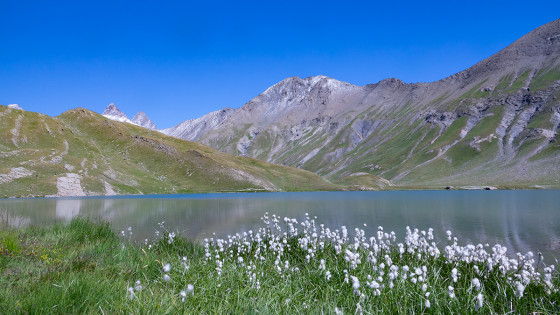 Lac de Goléon