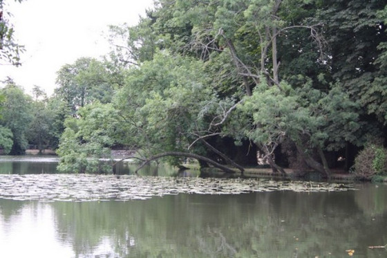 Lac de Gravelle
