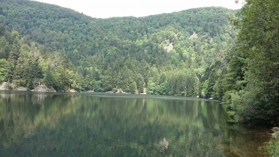 lac de l\'Altenweiher