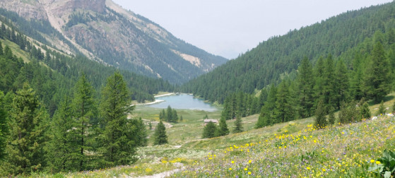 Lac de l'Orceyrette vu depuis les prairies en fleur