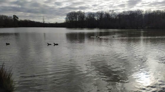 Lac de la Bordette