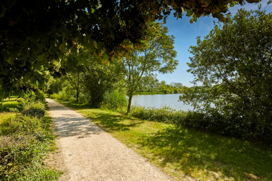 Lac de la Chausselière
