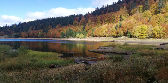 Lac de la Lande