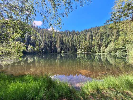 Lac de la Maix ( la Mer)