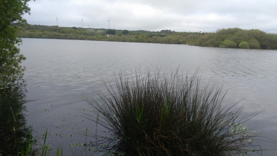 Lac de Lannéon