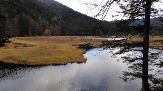 Lac de lispac