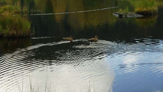 Lac de Lispach