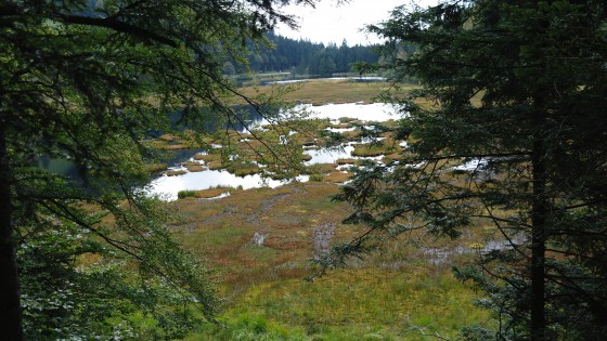 Lac de Lispach