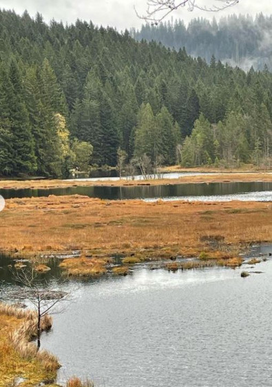 Lac de Lispach