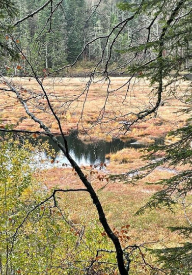 Lac de Lispach
