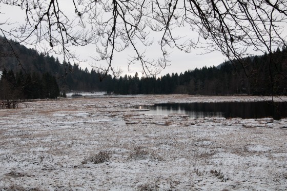 Lac de Lispach et tourbières