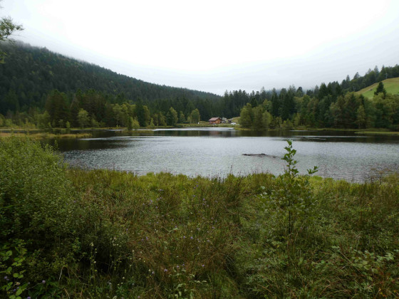 Lac de Lispach