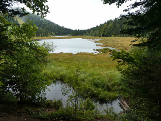 Lac de Lispach
