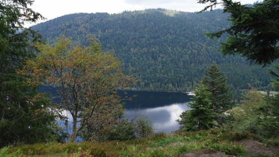 Lac de Longemer