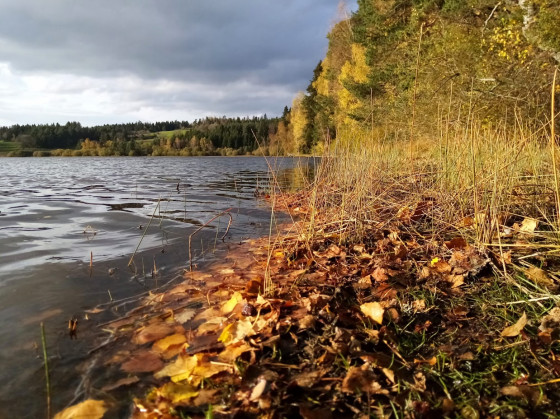 Lac de Malaguet