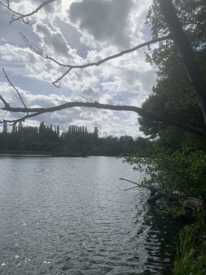 Lac de Malassis