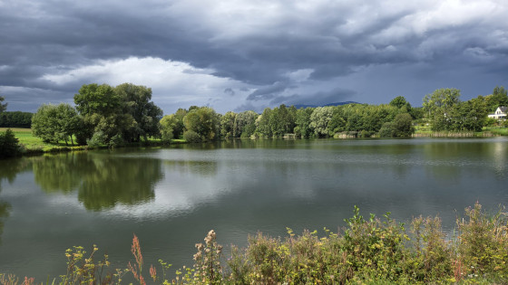 Lac de Michelbach