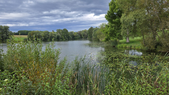 Lac de Michelbach