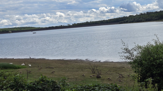 Lac de Michelbach
