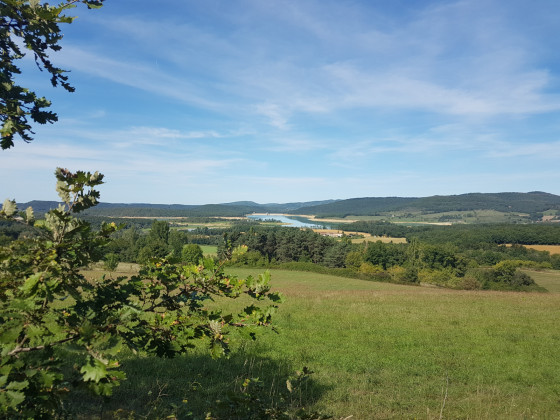 Lac de Montbel vu de Mireval