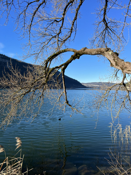 Lac de Nantua