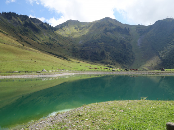 Lac de Nyon Gu&eacute;rin.