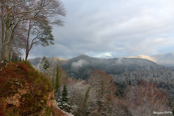 Paysages gelés, depuis le château