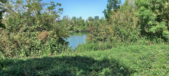 Lac de Rosel
