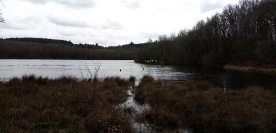 Lac de Saint-Pardoux